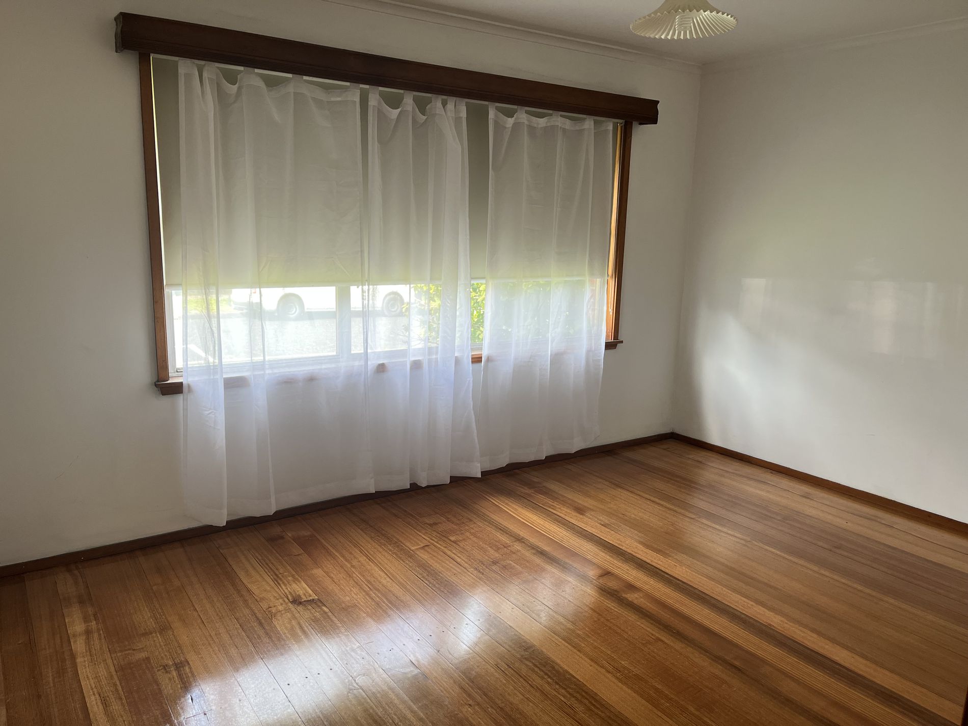 8 Olney Avenue, Thomson