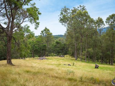 81 Dignams Creek Road, Dignams Creek