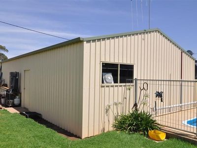 29 Wambat Street, Forbes