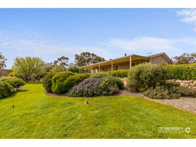 103B Sambell Road, One Tree Hill