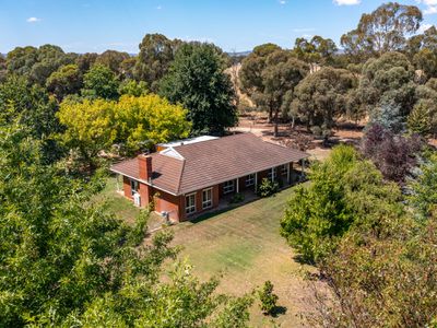 1047 Great Alpine Road, Tarrawingee