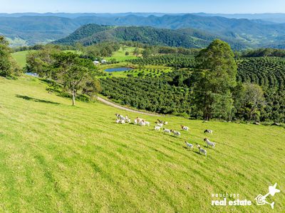 933 Innes View Road, Innes View