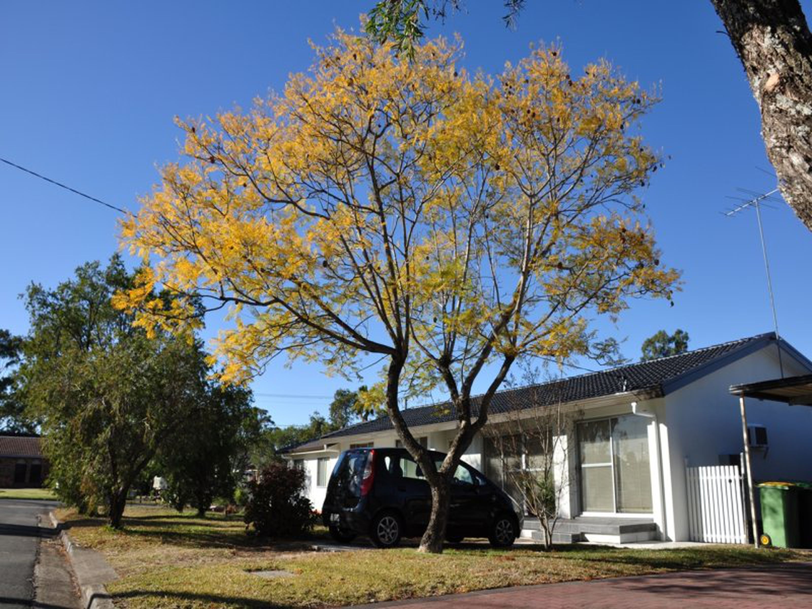 2A Bowes Avenue, SOUTH PENRITH