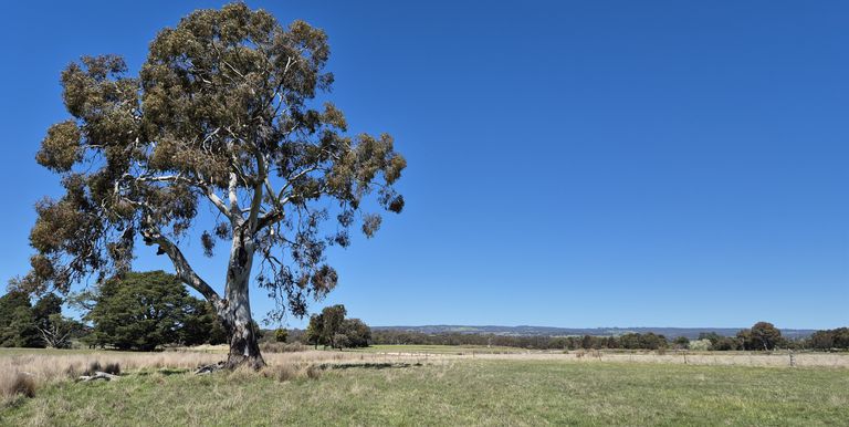 Lot 1 Longwood Ruffy Road , Ruffy