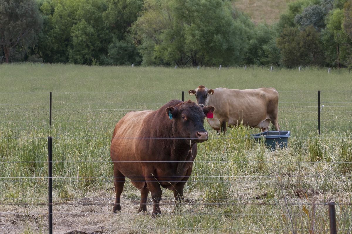 123 Graves Road, Mansfield