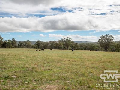 618 Coopers Road, Red Range