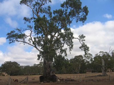 C / A 33A COCHRANES LANE, Costerfield