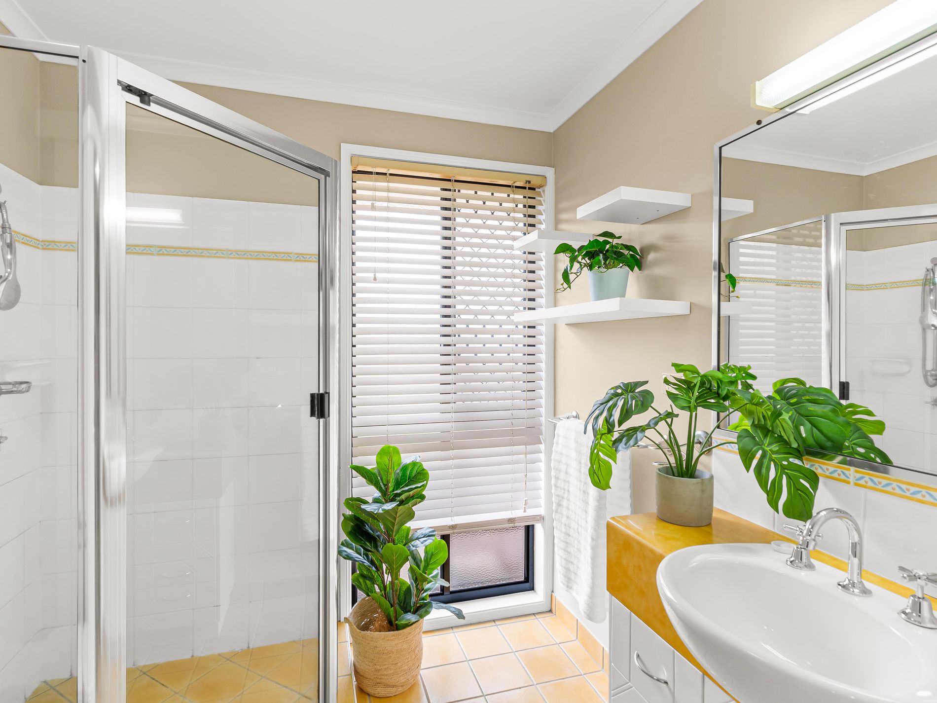 10 Vassallo Drive, Glenella