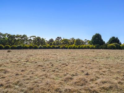 57 Hewitts Lane, Grabben Gullen via, Crookwell