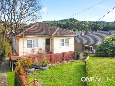 152 Lake Avenue, Cringila