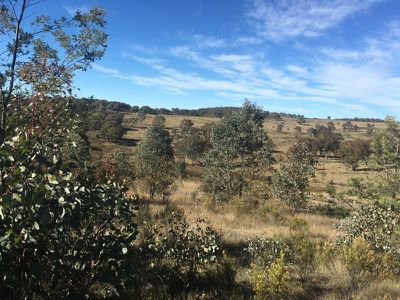 109 Briar Lane, Mount Rankin