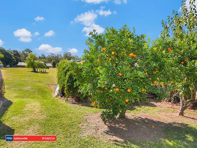 39 Haig Street, Brassall