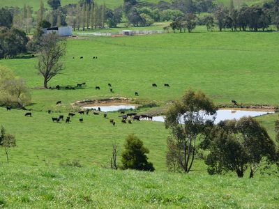 Jewell Road, Berringama