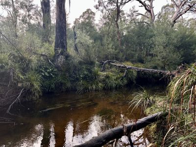 14 Ningee Nimbell Creek Road, Braidwood