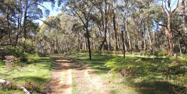 11 / Tames Road, Strathbogie