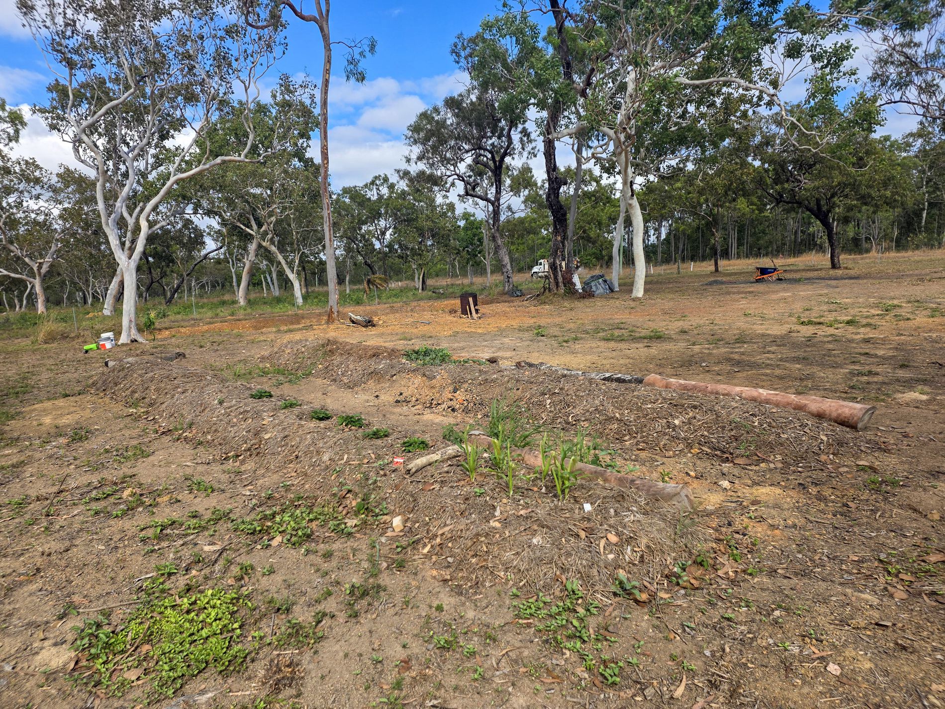 2 Ironwood Avenue, Cooktown
