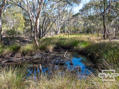 222 Strathbogie Road, Emmaville