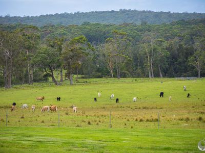 108-110 Princes Highway, Bodalla