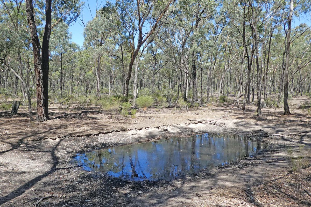 Abikhair Lane, Rushworth
