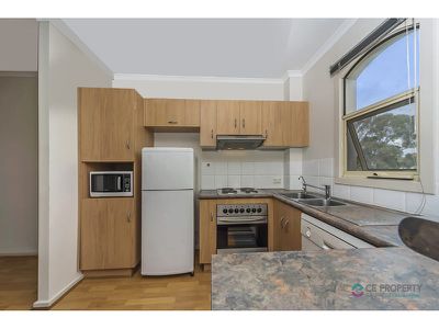 17 / 232 Hutt Street, Adelaide