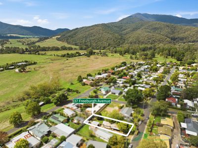 37 Freeburgh Avenue, Mount Beauty