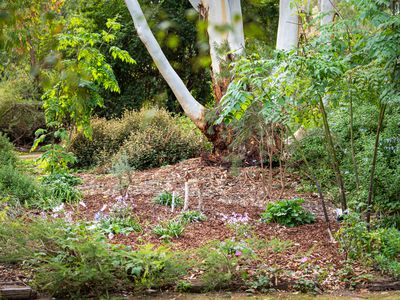 181 Acacia Drive, Millicent