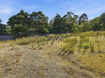 63A Williams Road, Randalls Bay