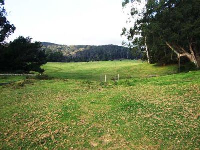 157 Shelleys Road, Kiah