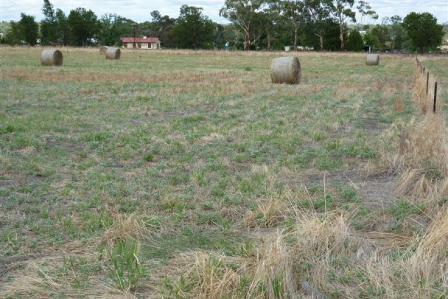lot 4 Ellerman Street, Dimboola