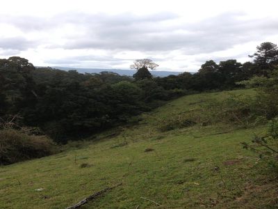L204 Browns Road, Maleny