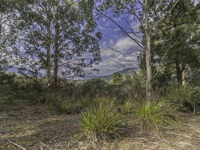 170 Russell Road, Lonnavale