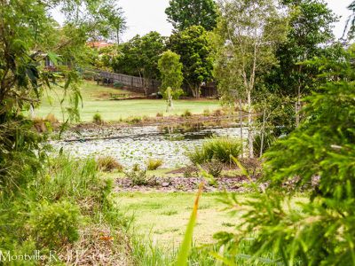 12 Shay Lane, Mapleton