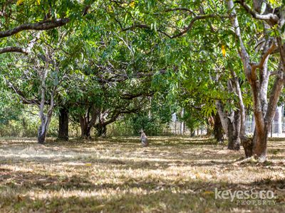 24 Alligator Creek Road, Alligator Creek