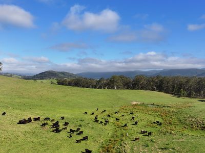 5887 Oxley Highway, Ellenborough
