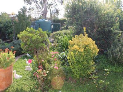 18 Peace Street, Kangaroo Flat