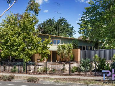 227 Eaglehawk Road, Long Gully