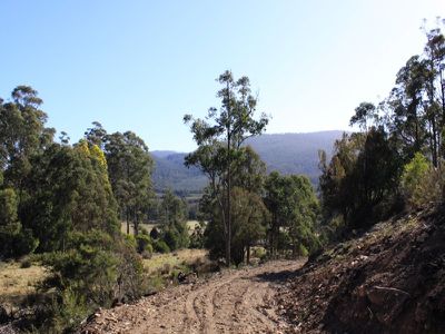 Lot 10, Lonnavale Road, Lonnavale