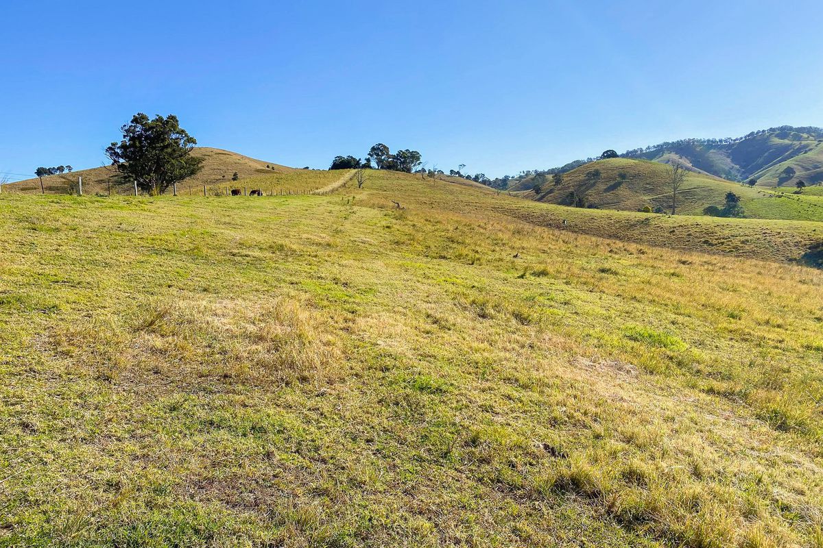 682 Bunyah Road, Bunyah