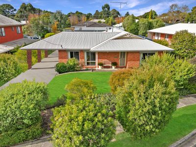 15 David Street, Hamilton