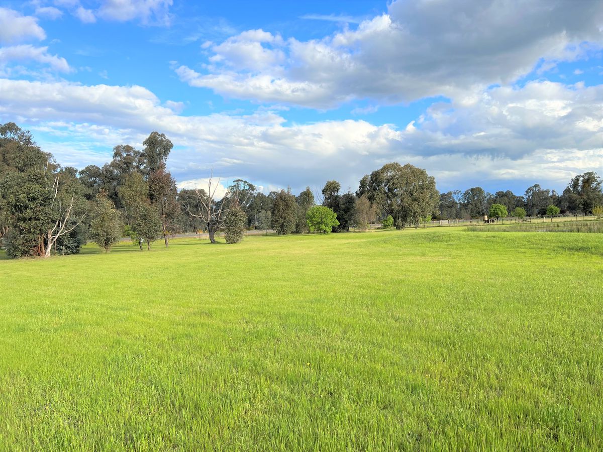 737 Lake Mokoan Road, Chesney Vale