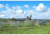 4925 Mitchell Highway, Orange