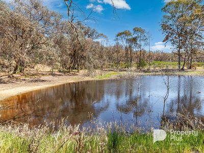 166 Ryalls Lane, Strathfieldsaye