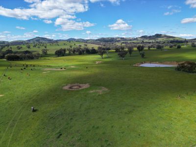 Lot 221 & 62-63 , Wymah Road, Bowna