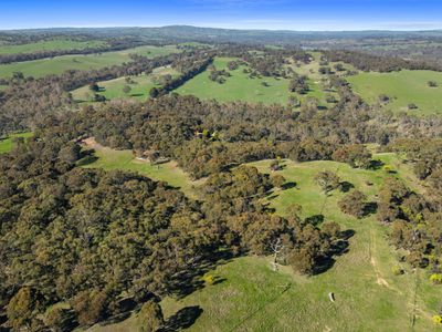 310 Dockerys Road, Tallarook