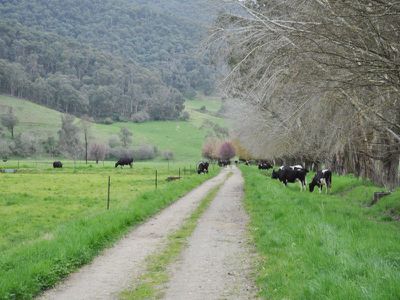 2782 Omeo Highway, Tallandoon
