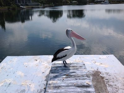 Tuncurry
