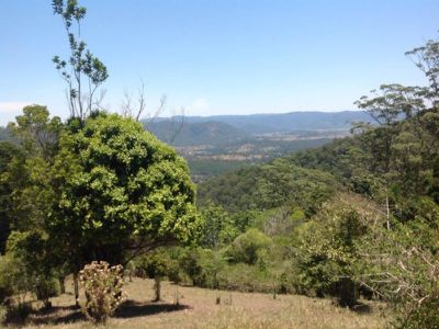 345 Harpers Creek Rd , Maleny