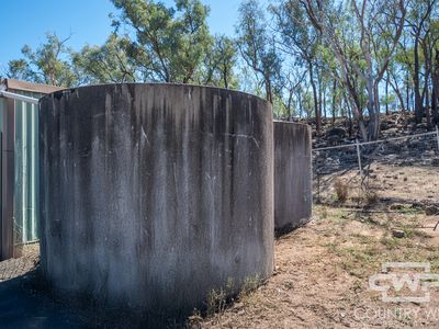 1043 Wallangra Road, Wallangra