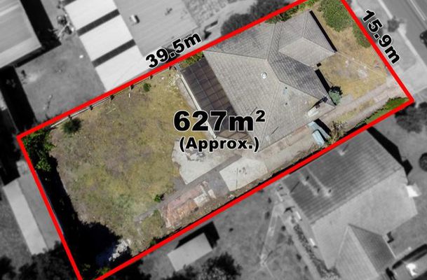 60 Sunset Boulevard, Jacana