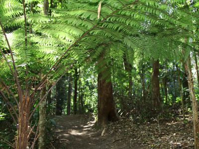 7 High Street, Nimbin